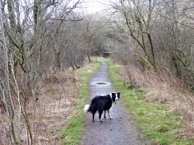 Railway Path